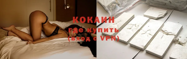 трава Абаза